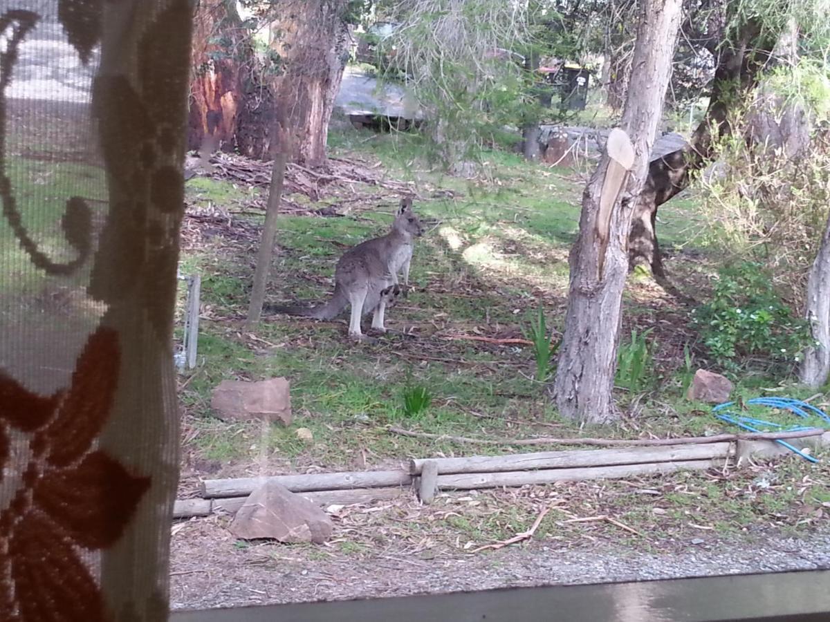 Grampians Nest Villa Halls Gap Buitenkant foto